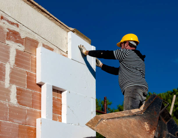 Best Insulation Installation Cost  in Lexington, TX