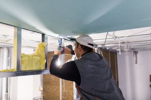 Best Spray Foam Insulation  in Lexington, TX