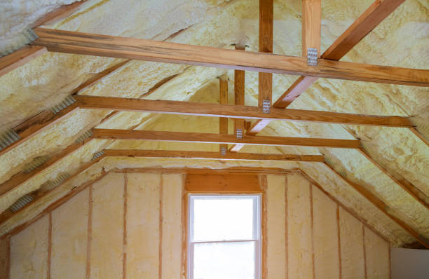 Best Insulation Removal  in Lexington, TX