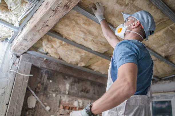 Best Insulation for Commercial Buildings  in Lexington, TX