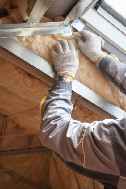 Attic Insulation Near Me in Lexington, TX