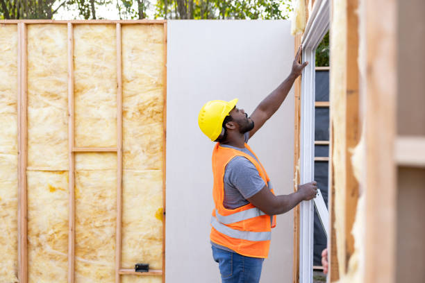 Best Professional Insulation Contractor  in Lexington, TX
