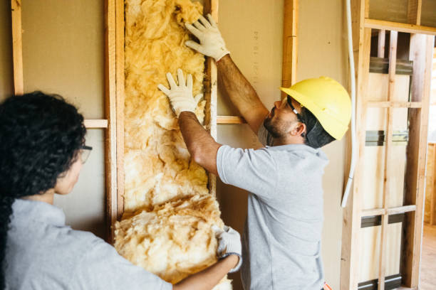 Best Insulation for New Construction  in Lexington, TX