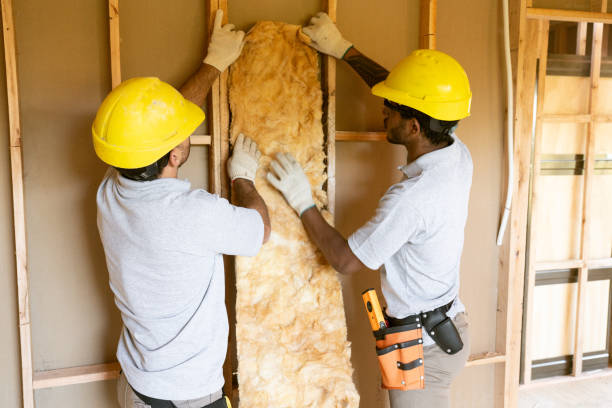 Best Insulation Contractors for Homes  in Lexington, TX