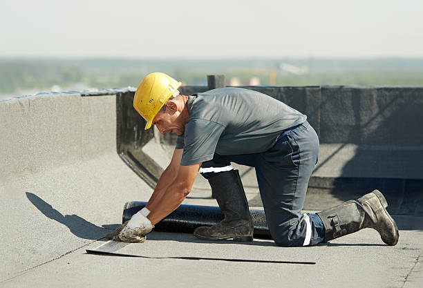 Best Insulation Installation Cost  in Lexington, TX