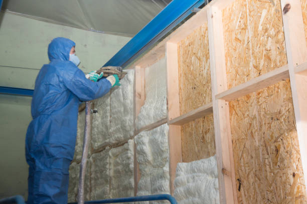 Best Residential Insulation Services  in Lexington, TX