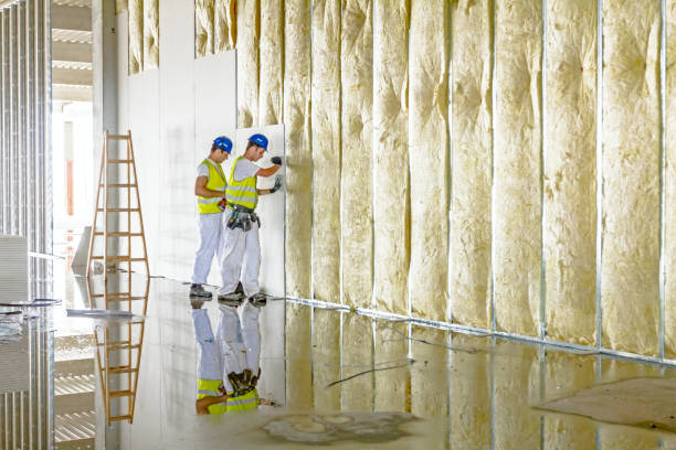 Best Soundproof Insulation Installation  in Lexington, TX